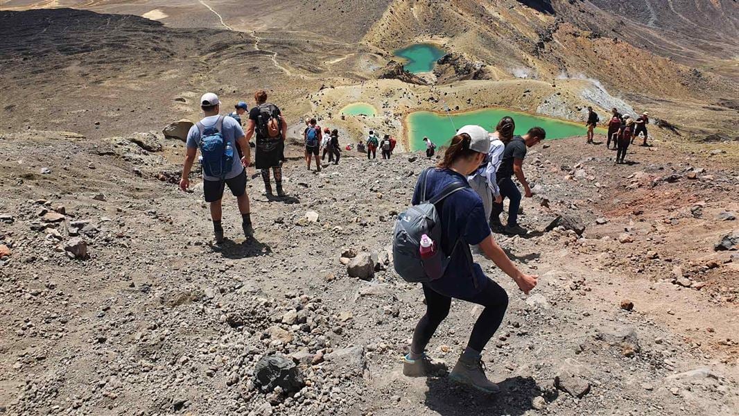 Tongariro Alpine Crossing Guided Experience