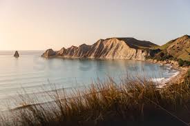 Cape Kidnappers: Where Gannets Nest at the Edge of the World