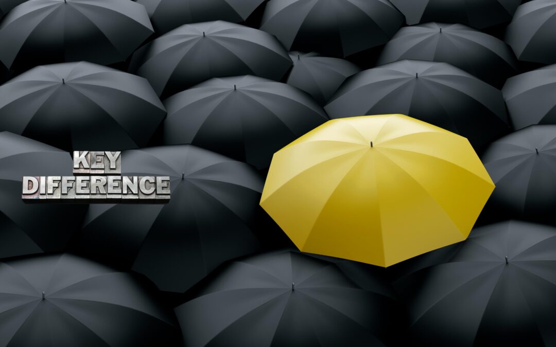 Private Luxury Tours vs Group Tours in New Zealand: What’s the Difference?