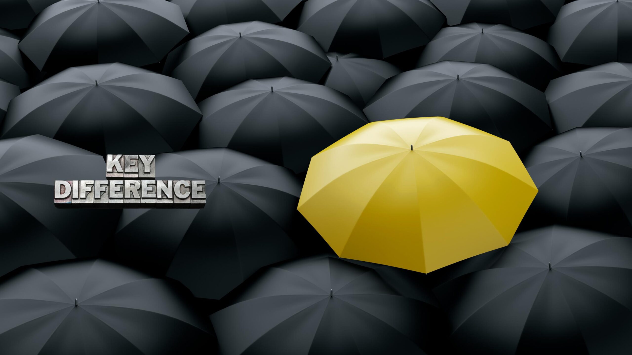 Private Luxury Tours vs Group Tours in New Zealand: What’s the Difference?