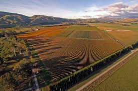 Hawke’s Bay Wine & Culinary Indulgence