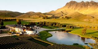 Hawke’s Bay Wine & Culinary Indulgence