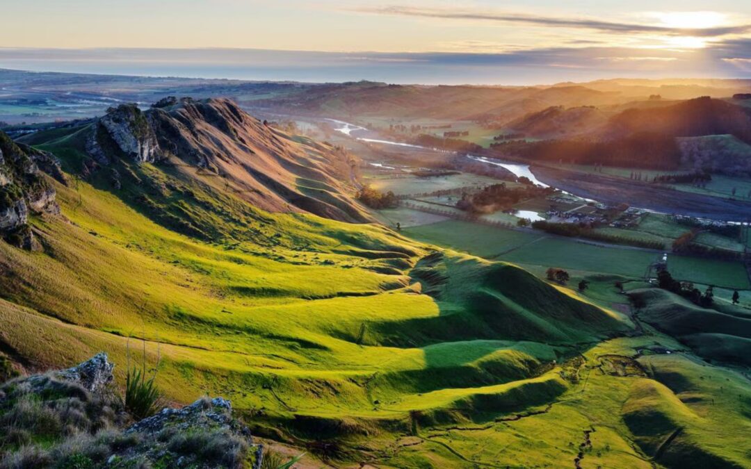 Hawke’s Bay Wine Region: A Guide for Luxury Travellers