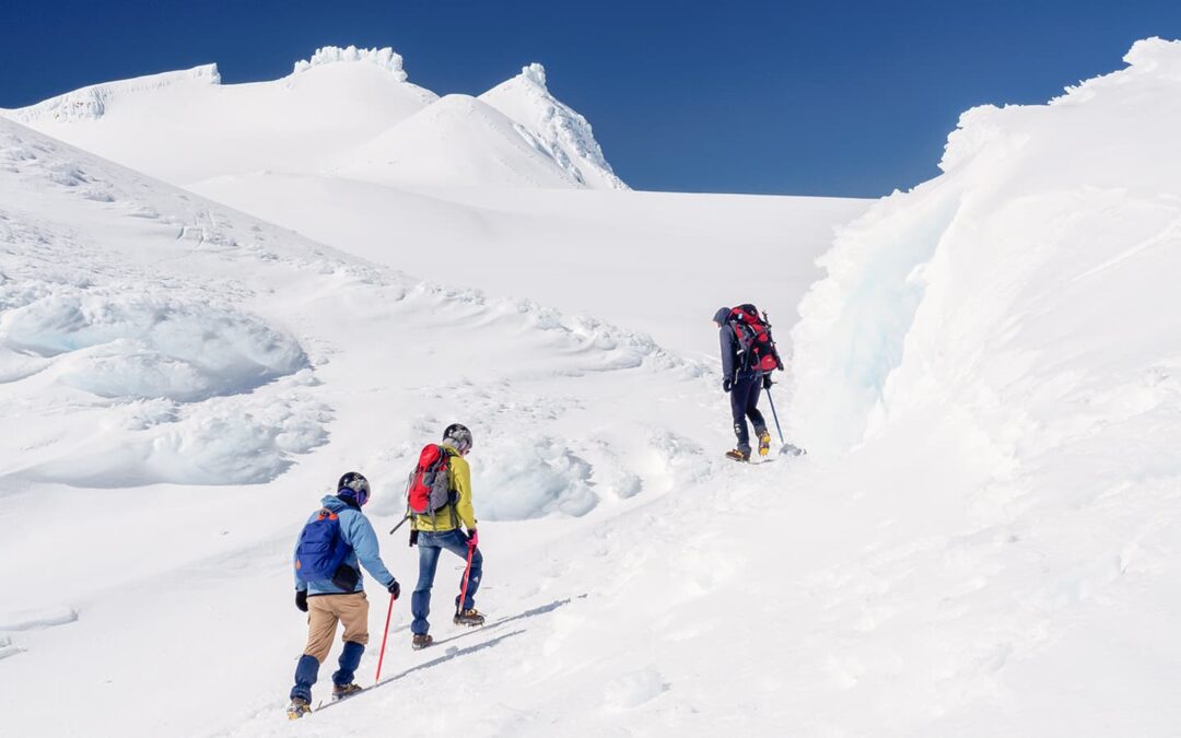 Mt Ruapehu Alpine Experience