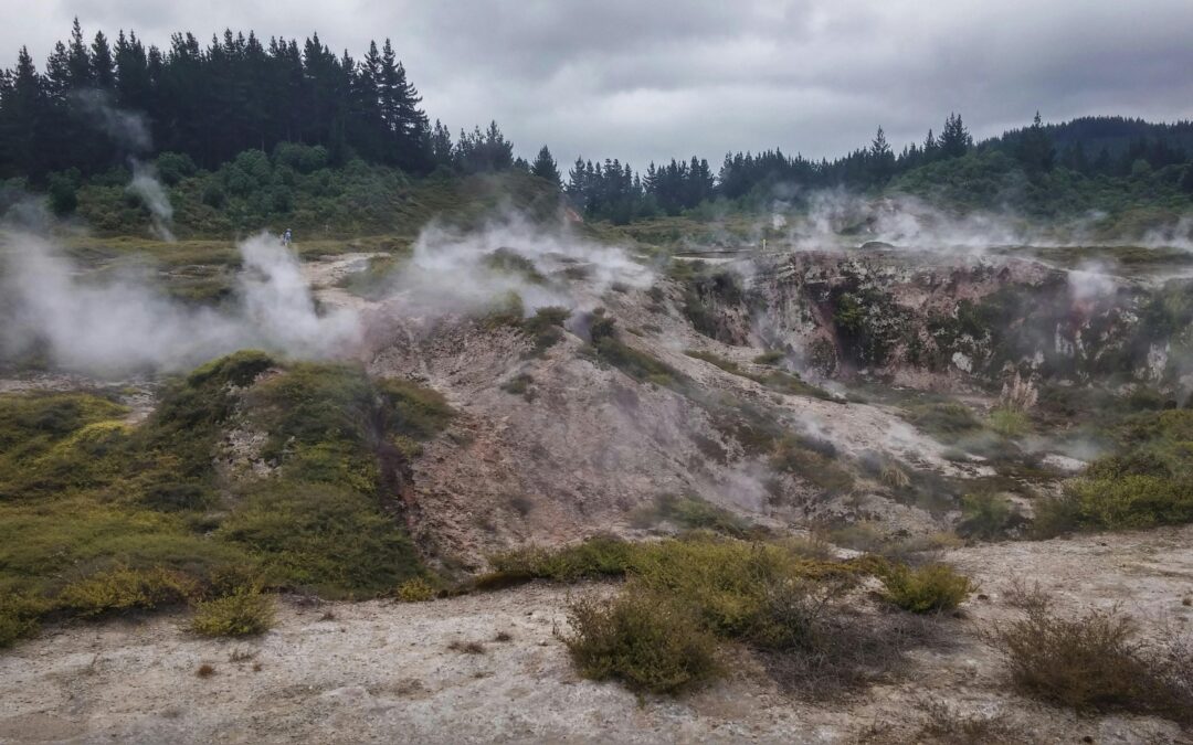 Rotorua Geothermal & Cultural Signature Tour