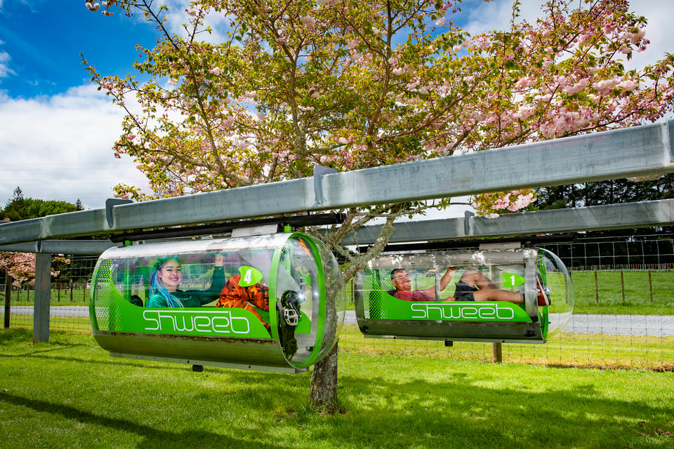 Rotorua Adventure & Nature Experience