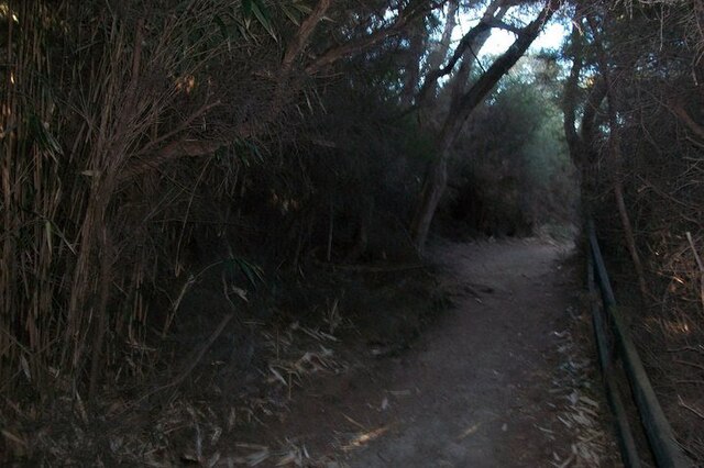 Rotorua Scenic Highlights & Hidden Gems Tour