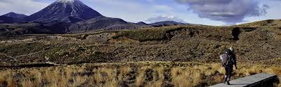Tongariro National Park Volcanic Landscapes Tour