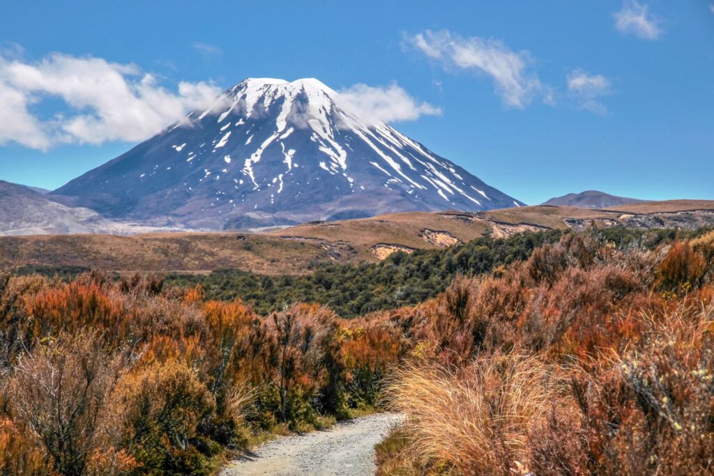 Tongariro National Park Volcanic Landscapes Tour