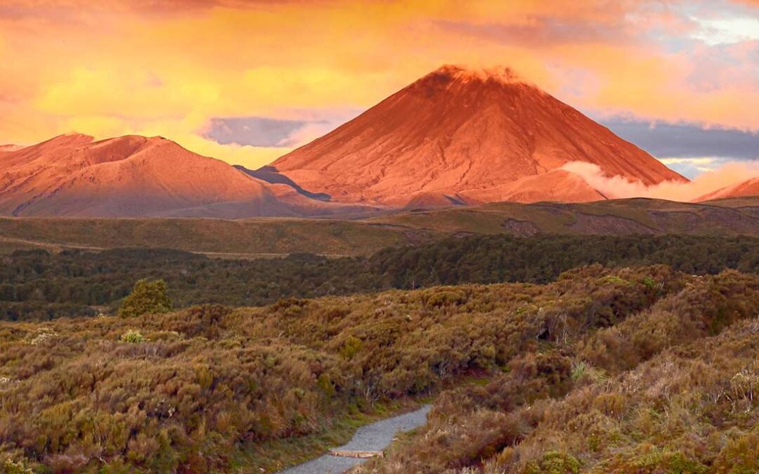 Tongariro National Park Volcanic Landscapes Tour
