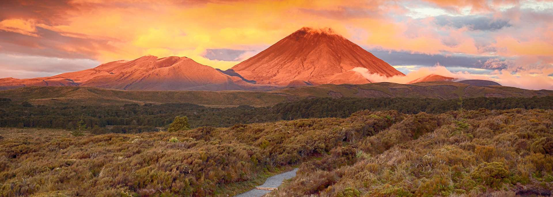 Tongariro National Park Volcanic Landscapes Tour