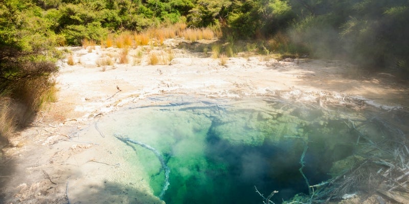 Tūrangi Nature, Rivers & Thermal Experience
