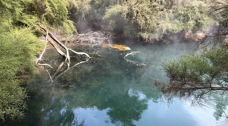 Tūrangi Nature, Rivers & Thermal Experience