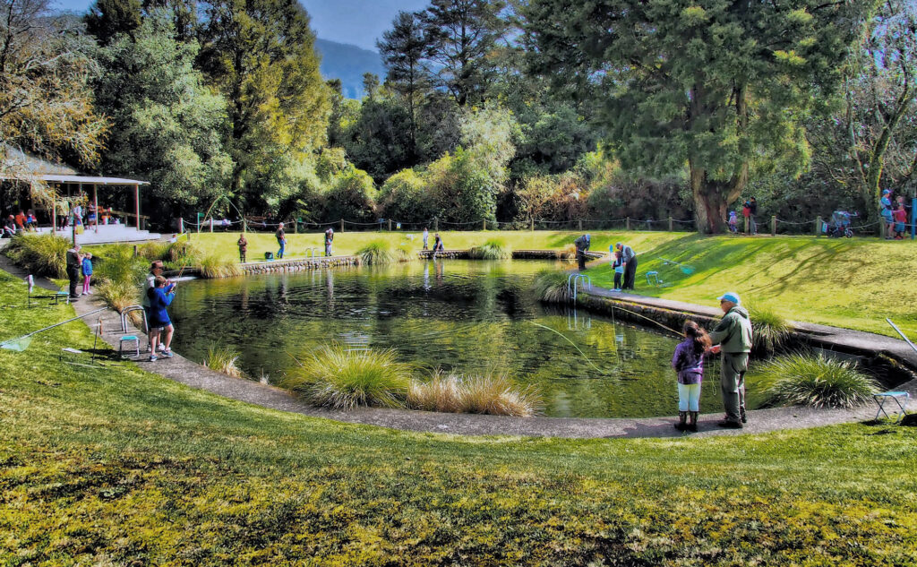 Tūrangi Nature, Rivers & Thermal Experience