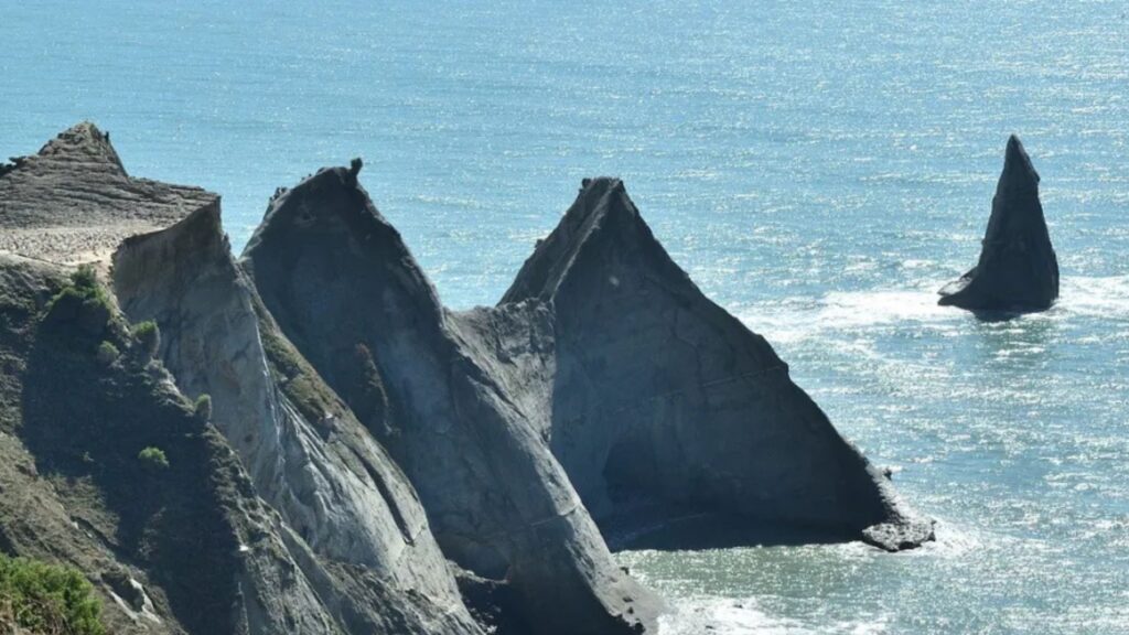Cape Kidnappers Scenic Nature Escape