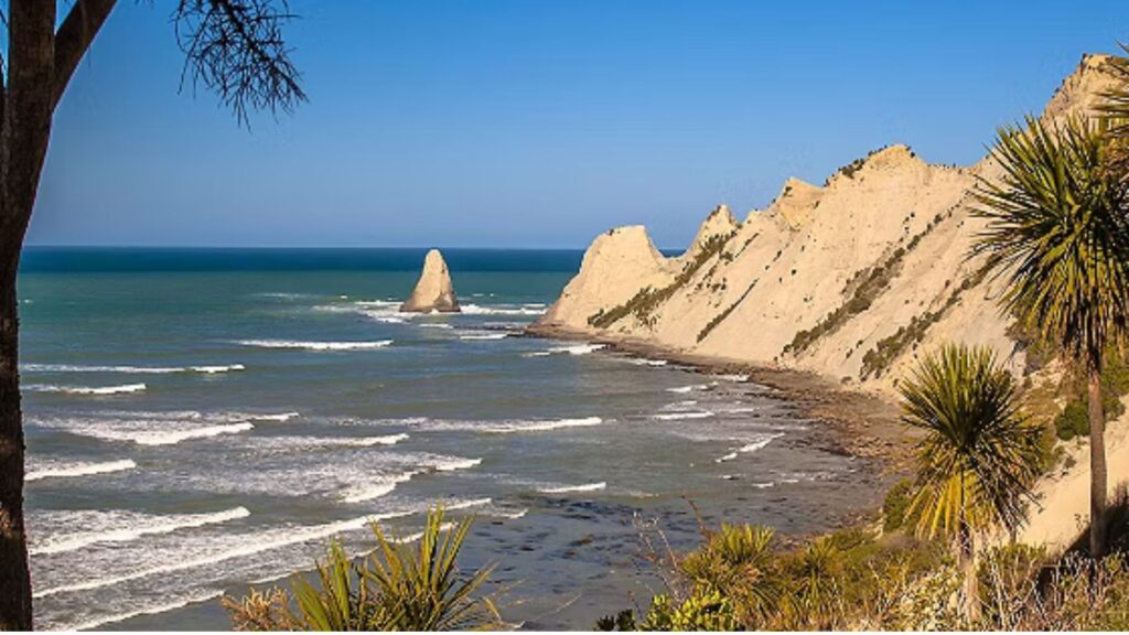 Napier Art Deco & Coastal Heritage Tour