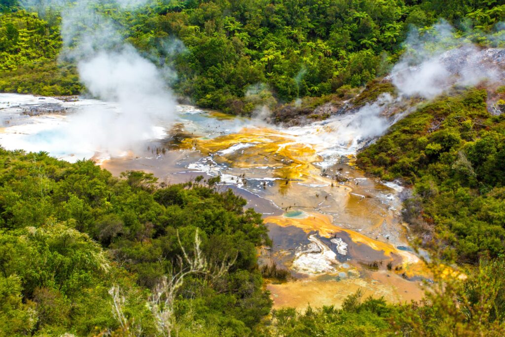 Rotorua Geothermal & Cultural Signature Tour
