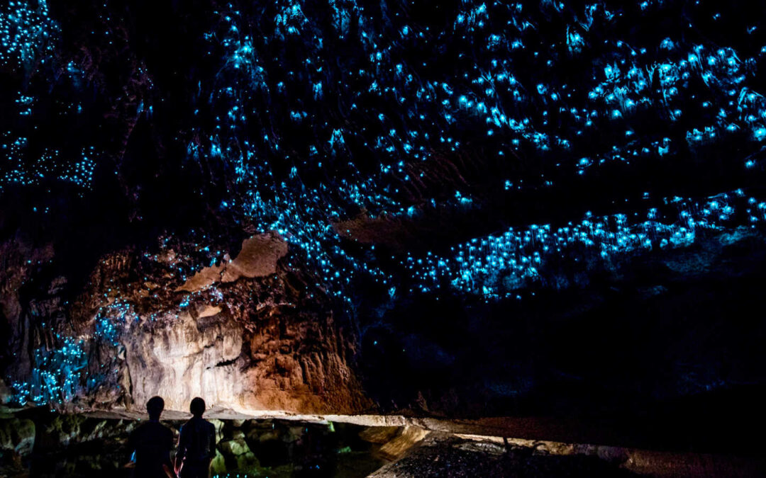 Waitomo Glowworm Caves: New Zealand’s Underground Wonder
