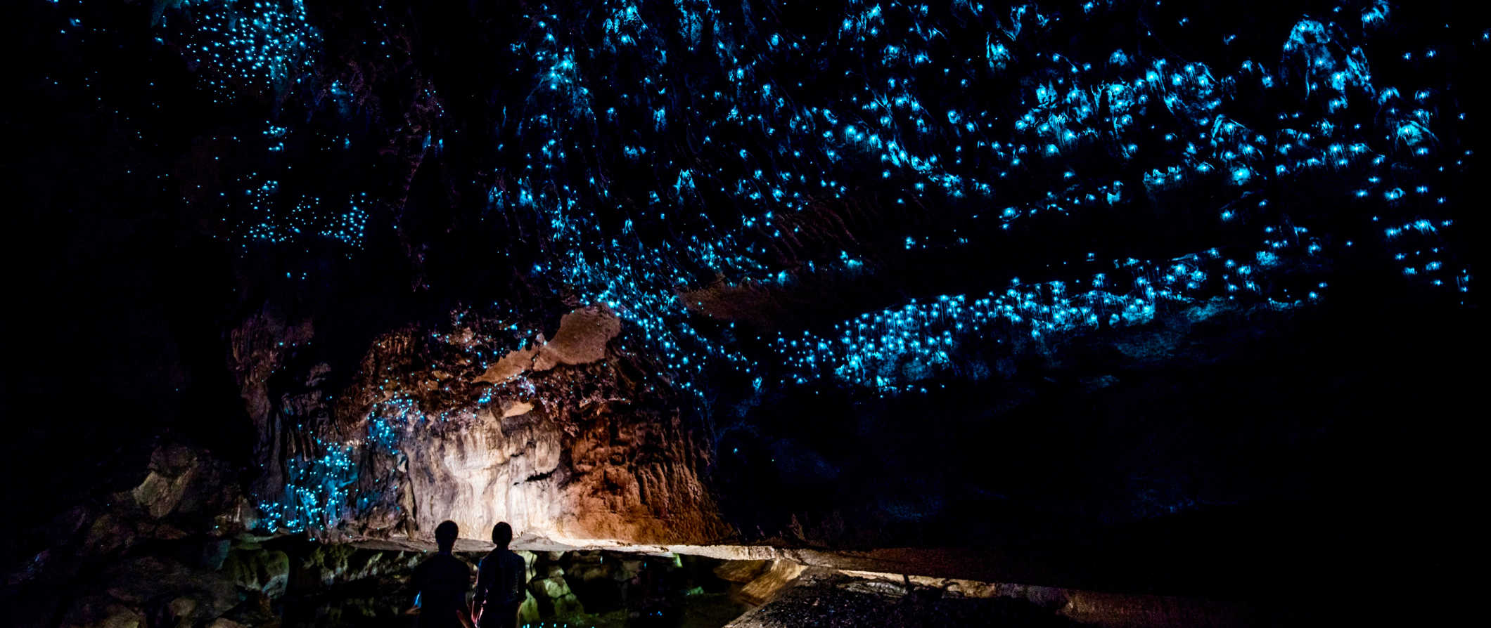 Auckland to Waitomo Glowworm Caves
