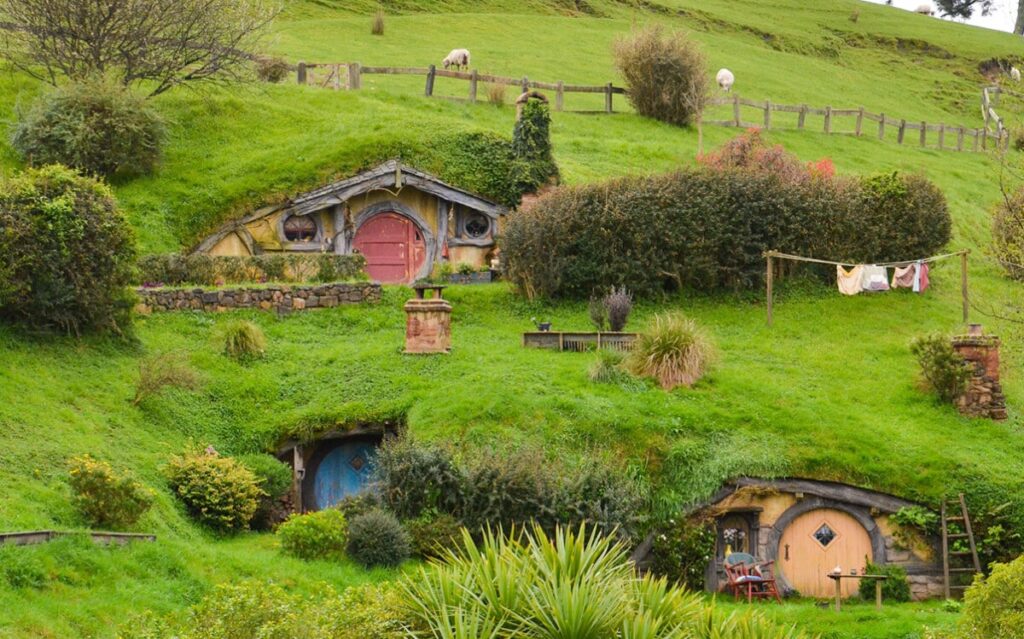 Hobbiton & Waitomo Premium Experience