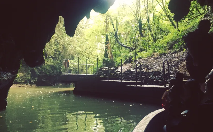 Auckland to Waitomo Glowworm Caves